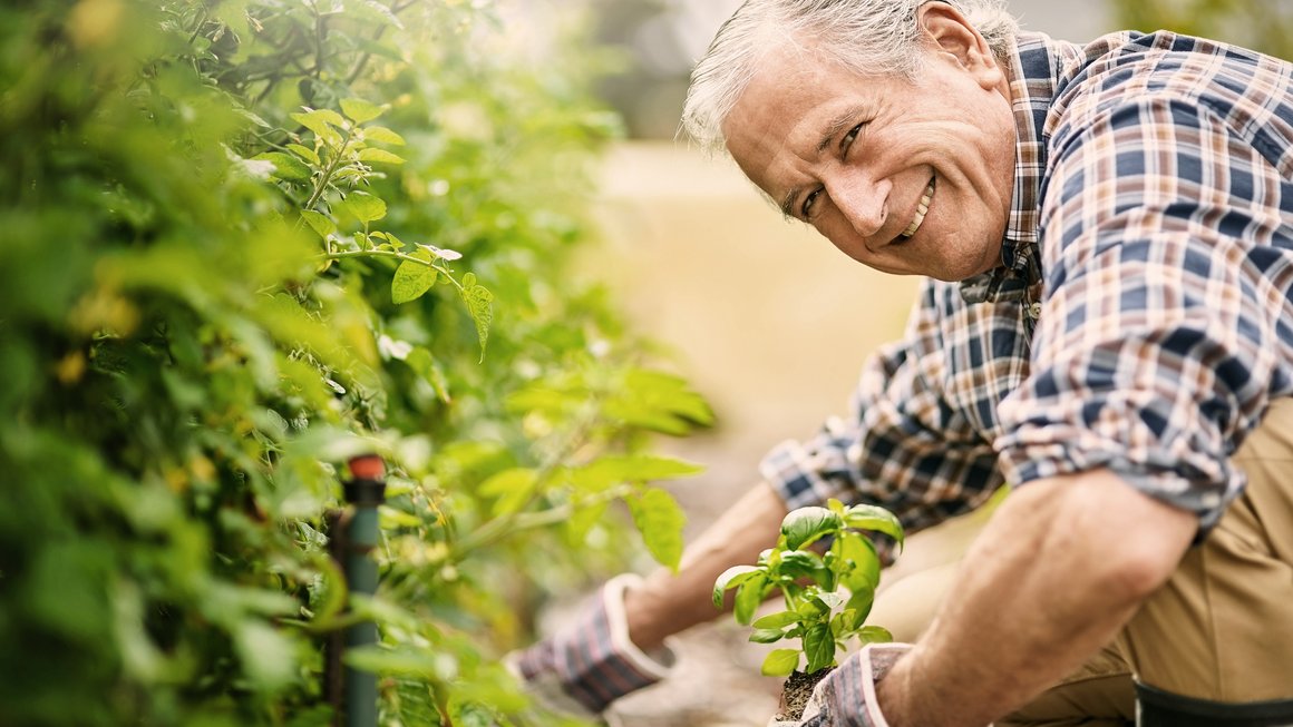 financne planovanie a poistenie pre seniorov myslite na poistenie pre seniorov
