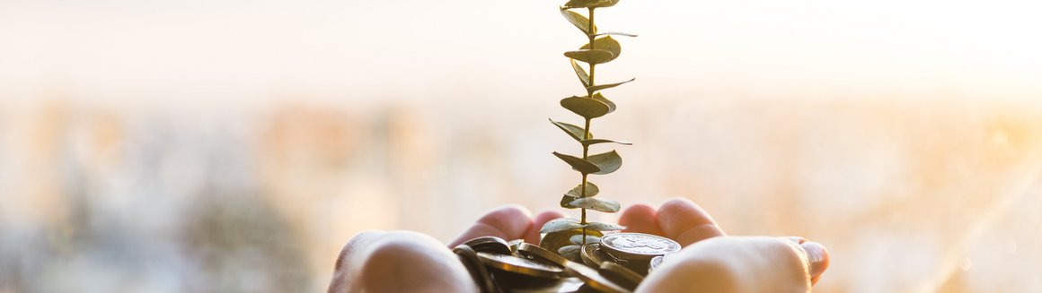Rastúca investícia – rastlinka z mincí v dlaniach