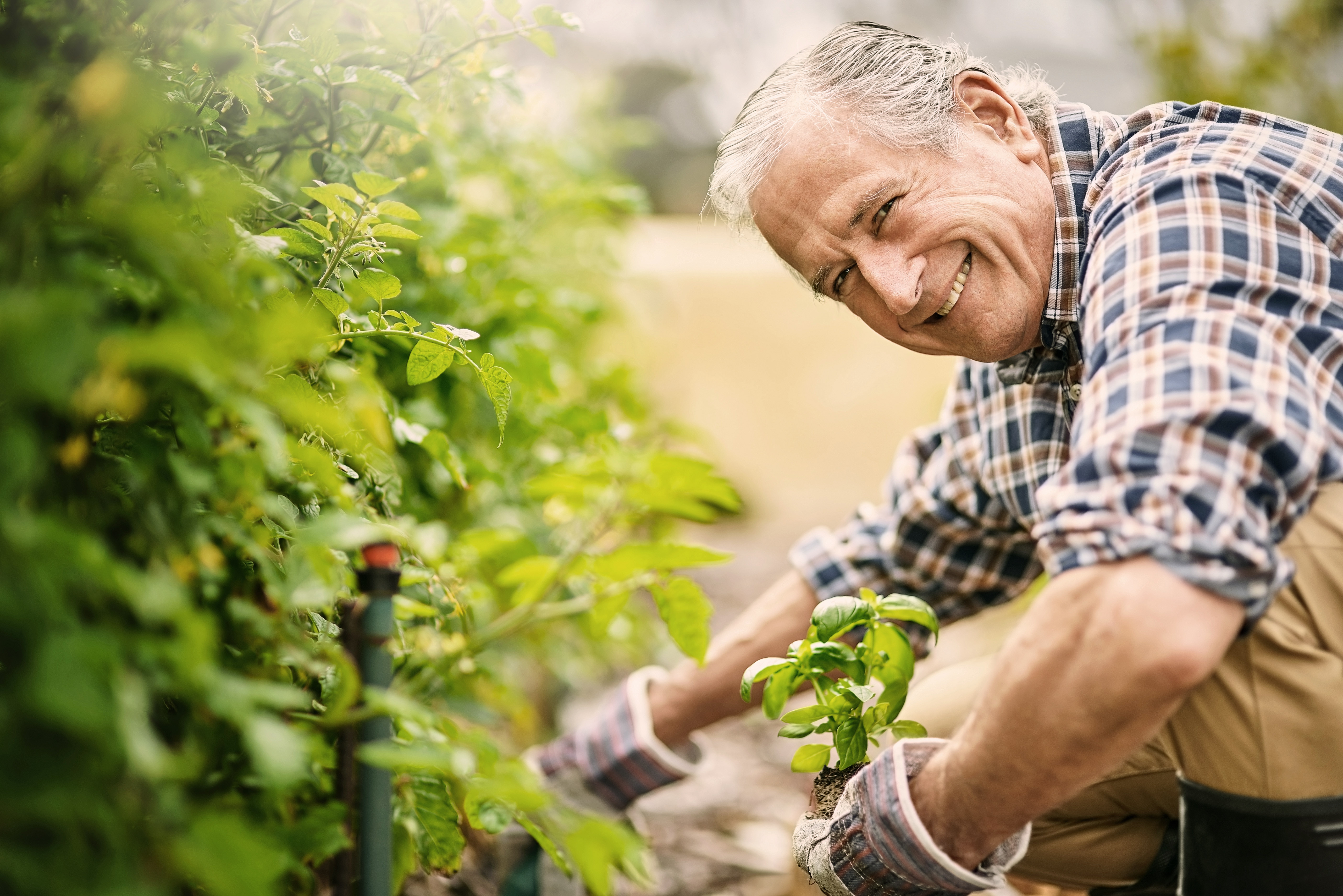 financne planovanie a poistenie pre seniorov myslite na poistenie pre seniorov